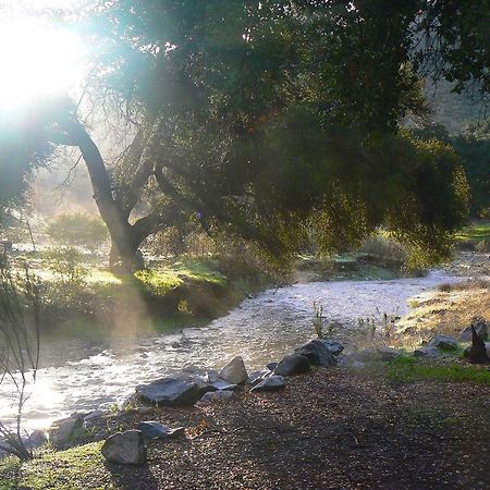 Pio Pico Camping Resort Studio Cabin 10 Jamul 외부 사진